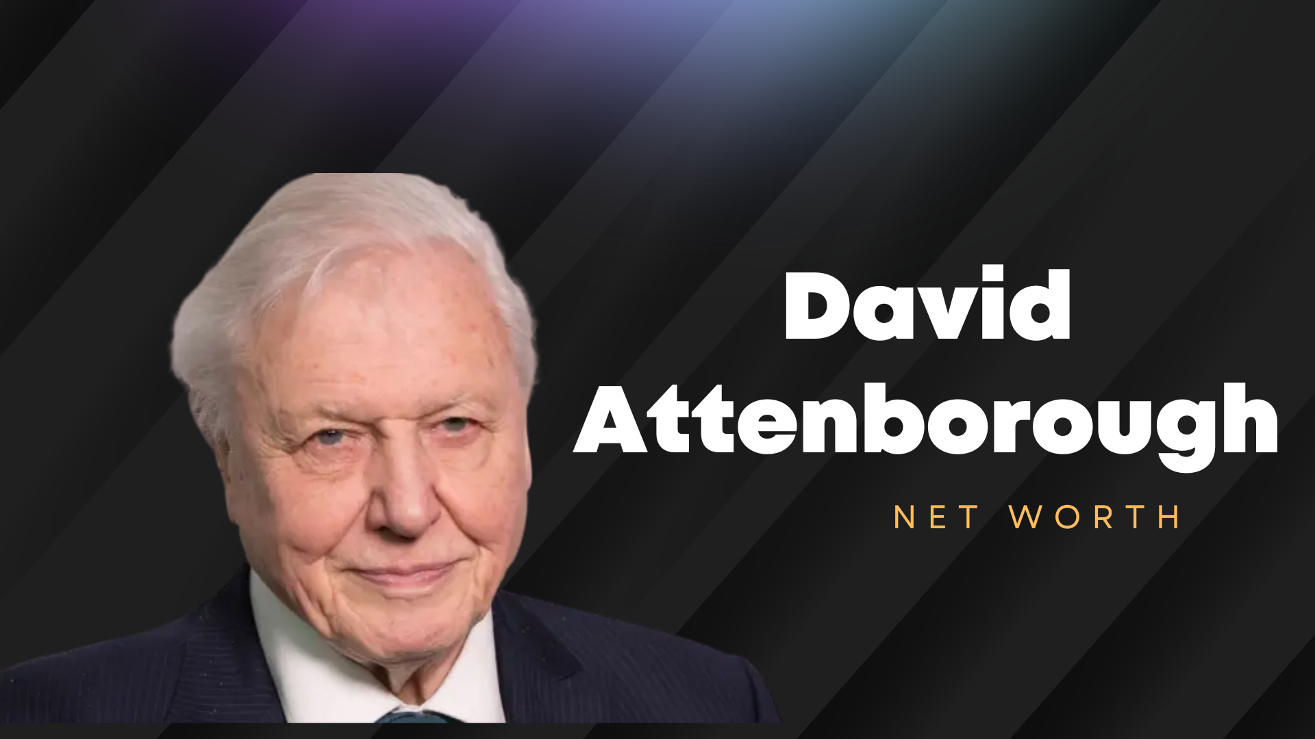 david attenborough net worth