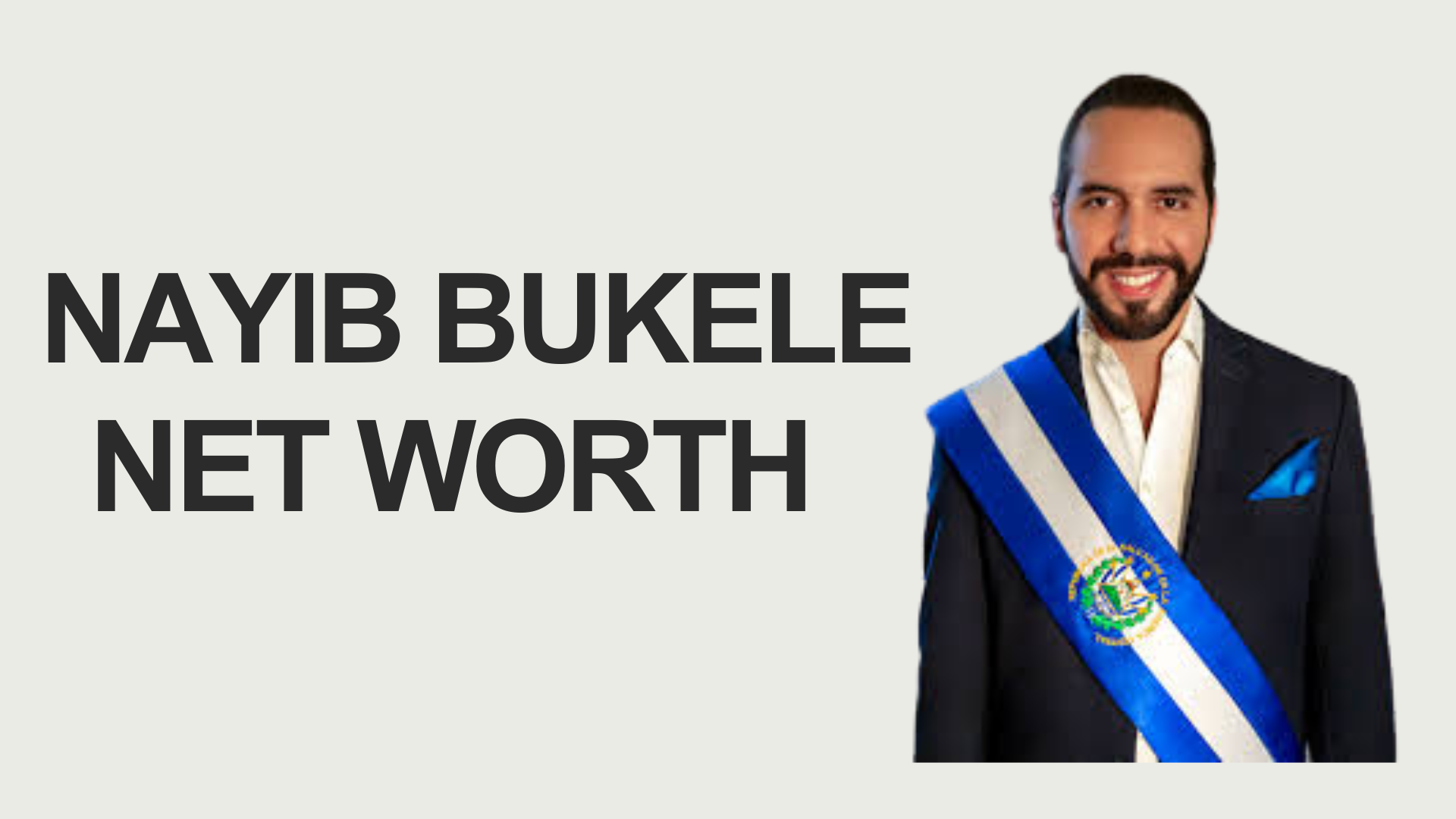 nayib bukele net worth